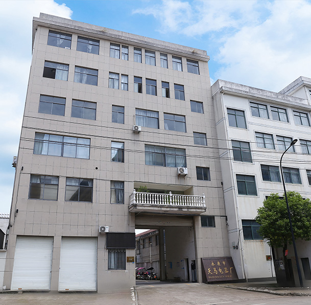 Yongkang Tianma Electric Appliance Factory